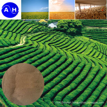 Animal Source Amino Acid Powder for Fertilizer